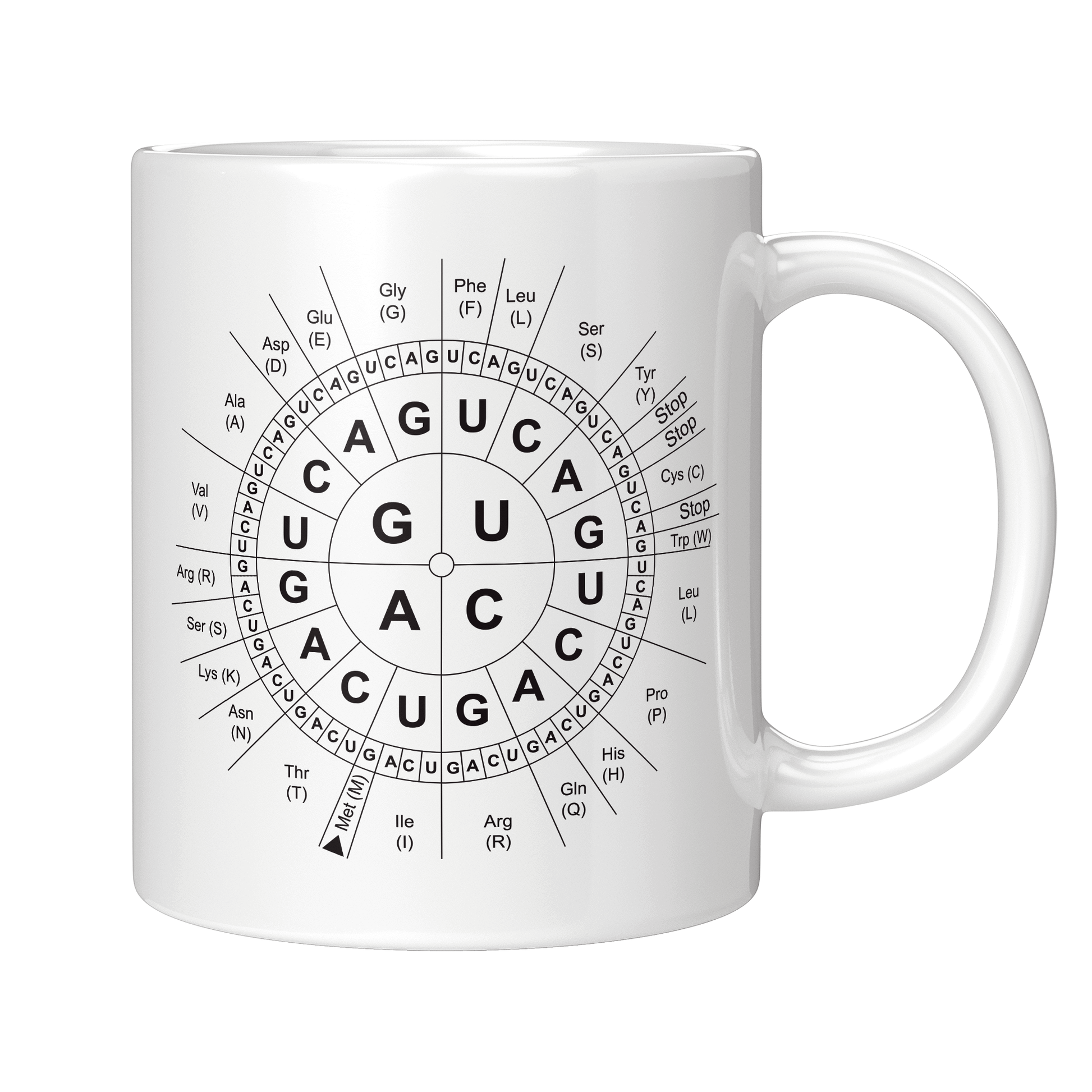 Biologie Tasse Code-Sonne